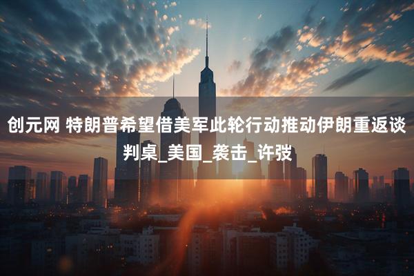 创元网 特朗普希望借美军此轮行动推动伊朗重返谈判桌_美国_袭击_许弢