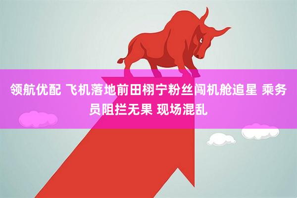 领航优配 飞机落地前田栩宁粉丝闯机舱追星 乘务员阻拦无果 现场混乱